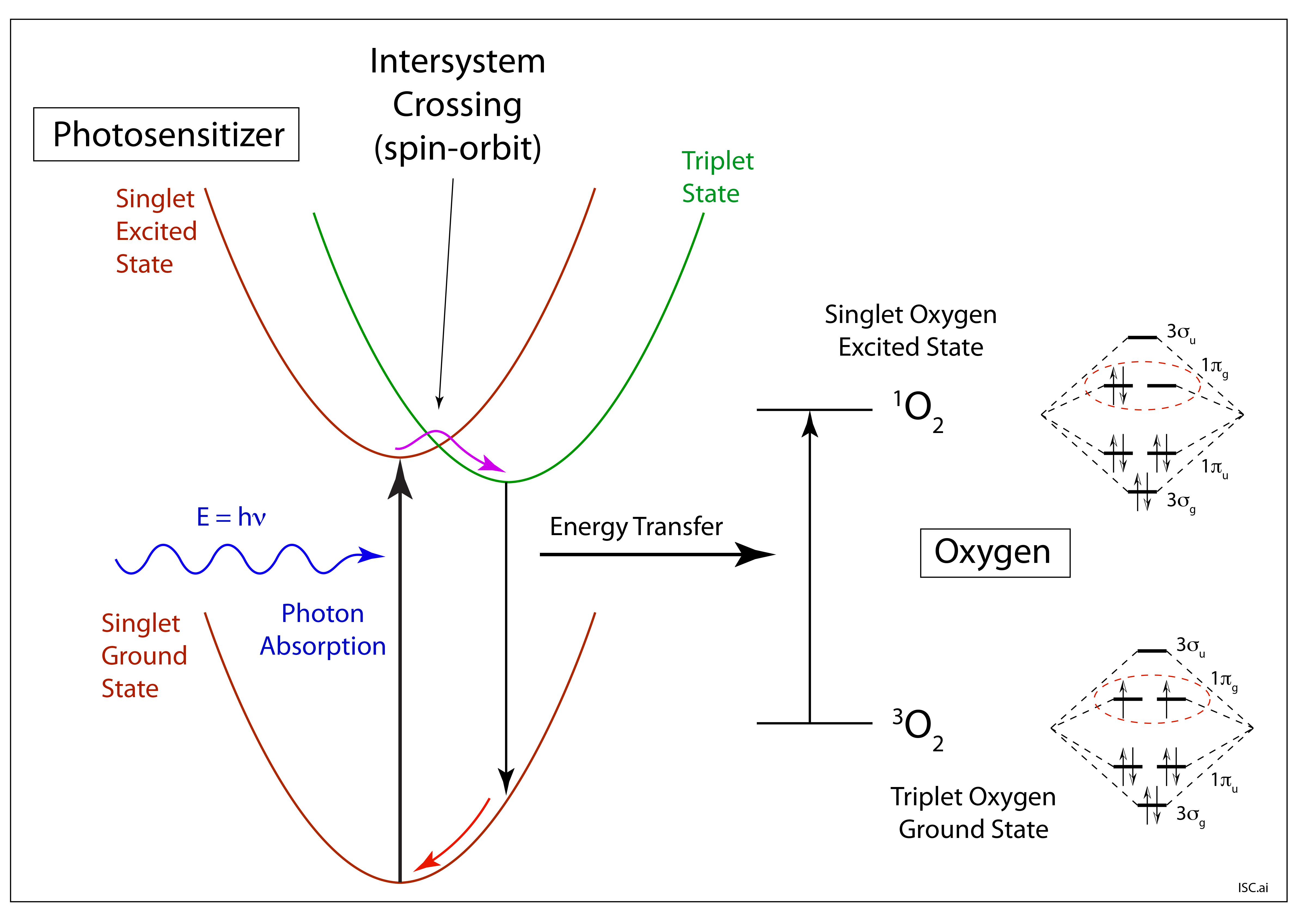 Reactive Oxygen Species | Galileo Unbound