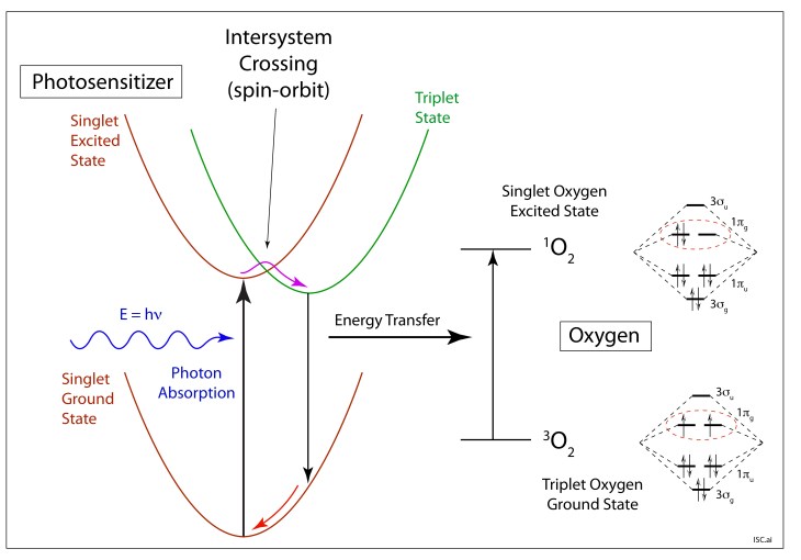 Intersystem crossing (ISC) for singlet-to-triplet transition and generation of singlet oxygen