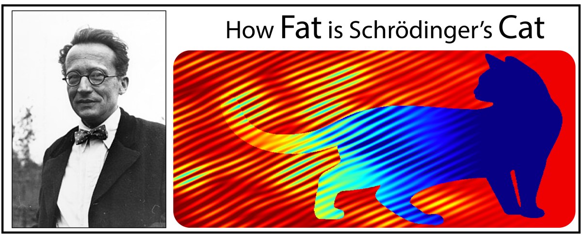 Schrodinger's Cat